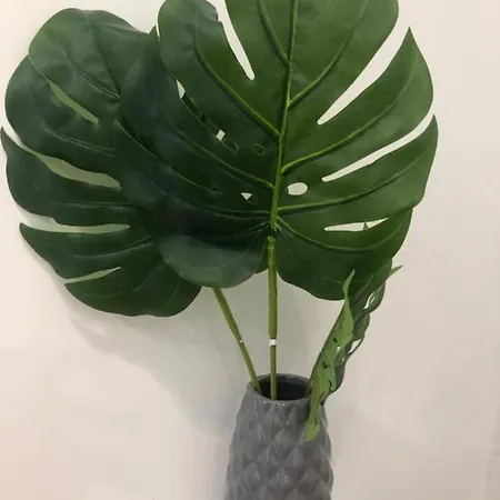 Nuovo3 * Corfu (city)